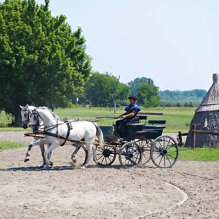 Szálloda Varga Tanya Kerekegyháza