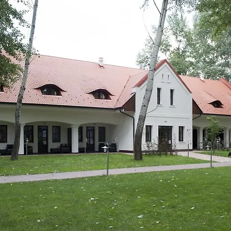 Varga Tanya