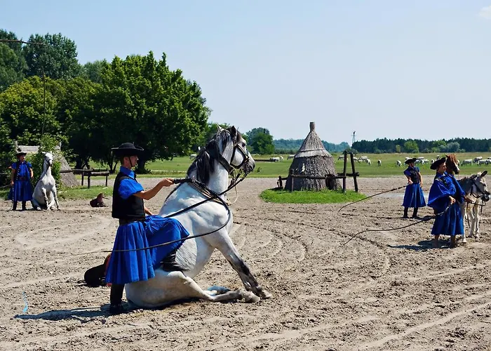 Vargatanya Park 3* Kerekegyháza